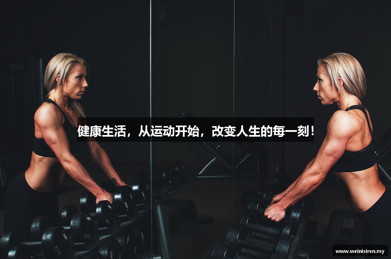 威尼斯 立即投注